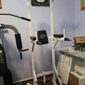 sport trenajor begawoy shtangy