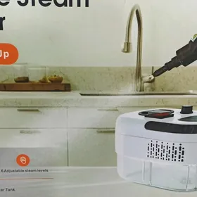 парогенератор,паровый очистите