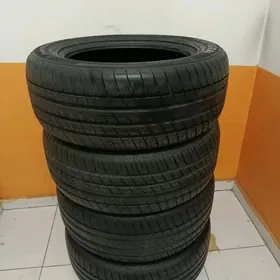 255/55 R18 Kapsen