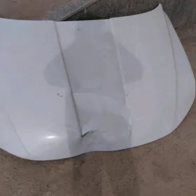 Kapot Hundaý Tukson 2021