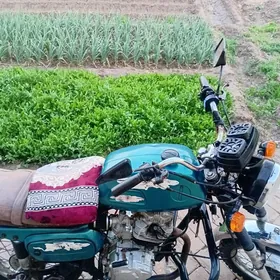 Fekon FK200-14G 2018