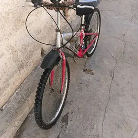 Welik welosiped welosipet