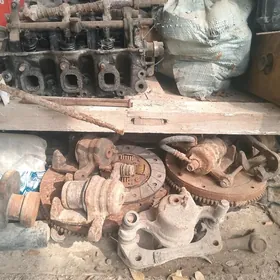 Tiko matiz zapjaslary