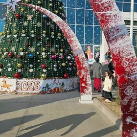 halalja gyz yada gelin