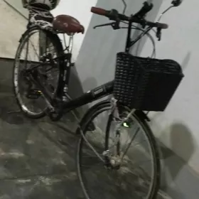 Welasepet tigir welik