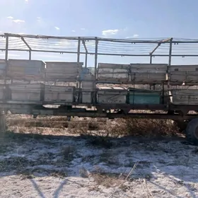 Ary telesge eye nom 864328027