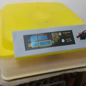 inkubator инкубатор