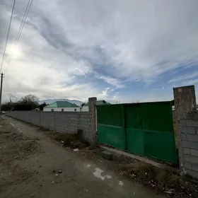 40-ÝYLLYK/16-SOTOK/KŐNE OBASY