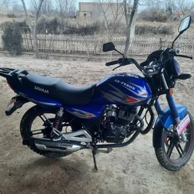 Fekon FK200-14G 2025