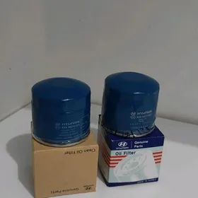 Kia hyundai yag filter