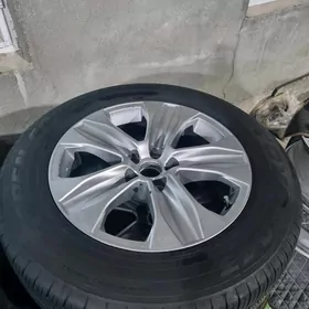 highlander xle diska