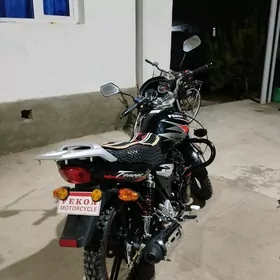 Fekon FK200-14G 2026