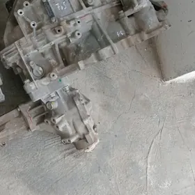 Bez shup karopka 4 vd