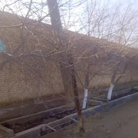 Önümçilik üçin arenda ýer