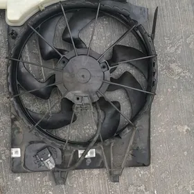 Elantra kia forte miltryatr