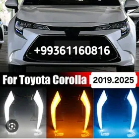 KAROLLA TUMANIK 2019.2025