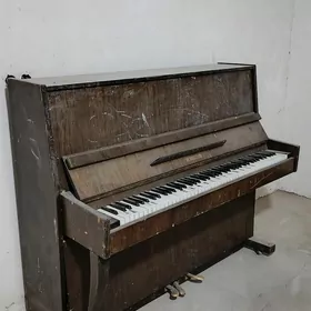 pianino
