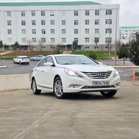 Hyundai Sonata 2010