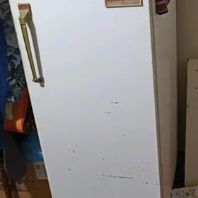 холодильник Саратов