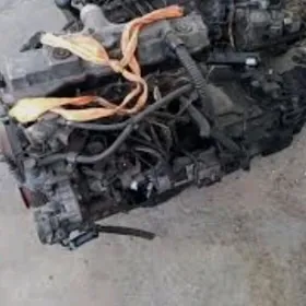 kanter forlant kia bonga ussa