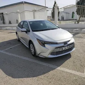 Toyota Corolla 2021