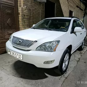 Lexus RX 330 2004
