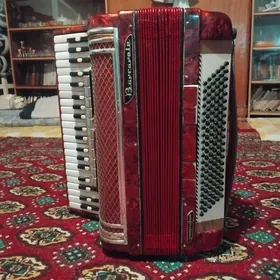 Akkordeon-Barcarolla