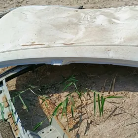 2010 kemri chep kryshan stoyka