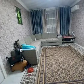 Buzmeyin jemagat satlyk jay