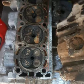 18 yumurta mator zapjaslary