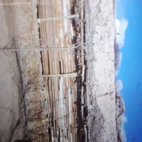 Agaclar dosga oygoslary