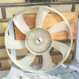 королланка лопость