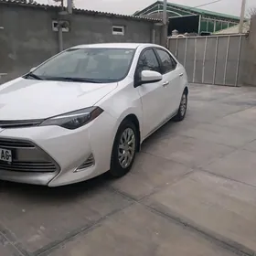 Toyota Corolla 2019