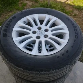 sienna diska ARGINAL