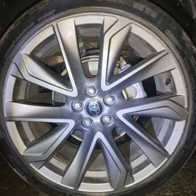 балон диска, balon diska