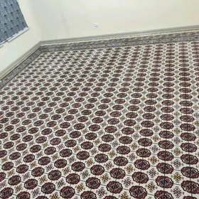 Abadan Haly 600 citim