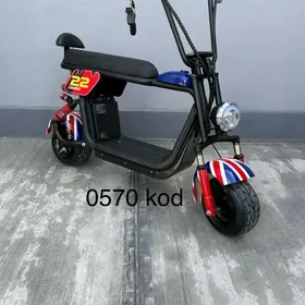 TIGIR SAMAKAT MATOR MASYN