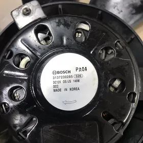 Hyunday kia lopus matorçik