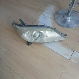 fara sienna sag tarap