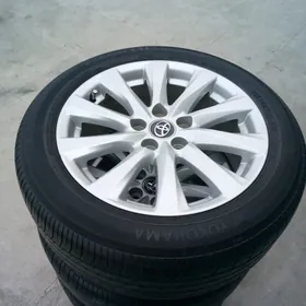 Kemri dyska pakryska 17