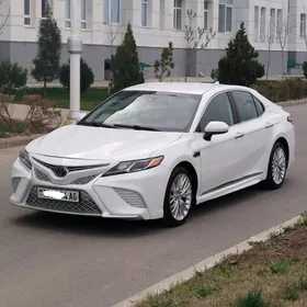 Toyota Camry 2020