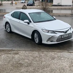 Toyota Camry 2019