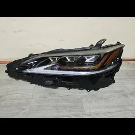 ES 19-22 3 LUPA CHEP TARAP