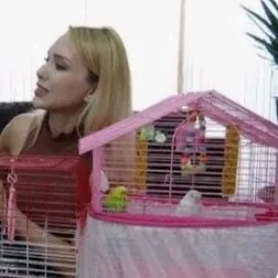 Popugay guslar +kleklar