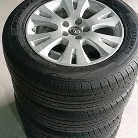 Siyena Disga Tekeri 17 lik