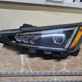 ELANTRA 19-20 CHEP FARA