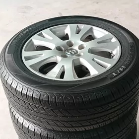 Siyena Disga Tekeri 17 lik Orgynal