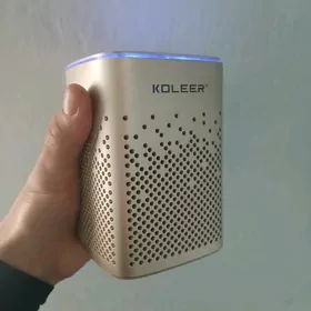 Колонка Koleer