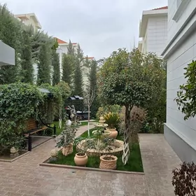 arenda gokje plan kw jay