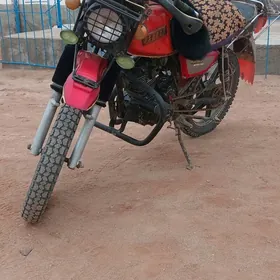 Fekon FK200-14G 2023